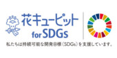 花キューピット for SDGs